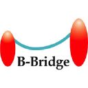 B Bridge Intl
