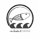 Una banda di cefali
