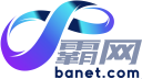 B.A.Net Internet & Marketing Co.