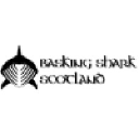 Basking Shark Scotland