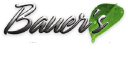 Bauer's Intelligent Transportation