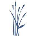 Bay Radiology LLC