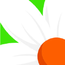 Bayview Flowers Ltd