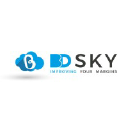 BD SKY Consulting Services