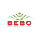 Bebo