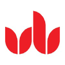 University of bedfordshire