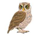 Be Wiser Insurance