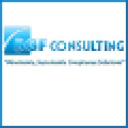 BGF Consulting