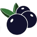 BidBerry