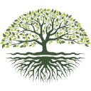 Big Tree Resource Management Pvt Ltd