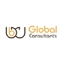 BigWig  Global Consultants