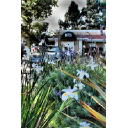 Bills Cafe