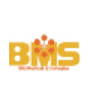 BioMedical Strategies, LLC