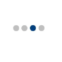 Biz Consulting