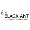 Black Ant Investment Management