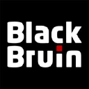 Black Bruin