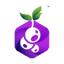 Blackcurrant Apps