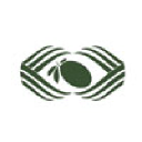 Black Olive Ventures Pvt. Ltd.