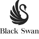 Black Swan Business Setup Services