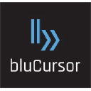 BluCursor Infotech Pvt Ltd