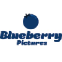 Blueberry Pictures