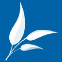 Bluegum Pharma Holdings Pty Ltd