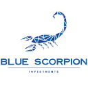 Blue Scorpion Investments investor & venture capital firm logo