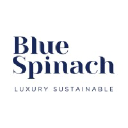 BLUE SPINACH