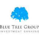 Blue Tree Group - Investment Banking