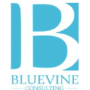 Bluevine Consulting