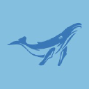 Blue Whale Design