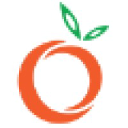 BML Nutrition Consulting