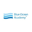 Blue Ocean Global Network