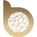 Bold Brains Productions GmbH