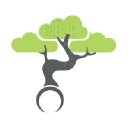 Bonsai Data Solutions