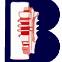 Botil Oil Tools India Pvt Ltd