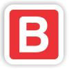 BPI India Pvt Ltd