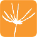 BrainSpores