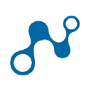 Braintrust Logo