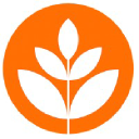 Brand New School