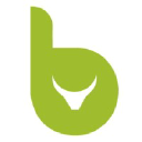 Bull markets media GmbH