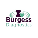 Burgess Diagnostics Ltd