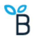 Buying Online Businesses