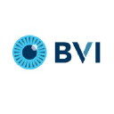 Beaver-Visitec International, Inc. (BVI)