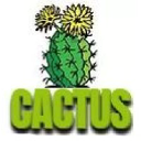 Cactus-Global Commodities Group
