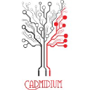CADMIDIUM SERVICES LIMITED