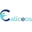 Caliceos Consulting