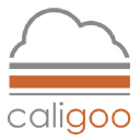 IrisVR (part of The Wild)