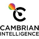 Cambrian Intelligence SL