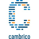 Cambrico
